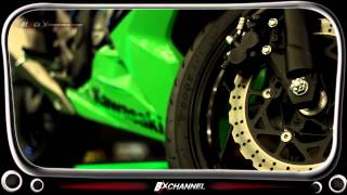 Kawasaki Ninja RR 250 mono [upl. by Margot]