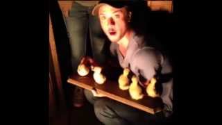 Jeremy Sumpter and his Ducks ON SET OF ANIMAL [upl. by Anieral950]