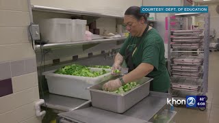 How HIDOE plans to continue providing highquality safe meals [upl. by Annaert]