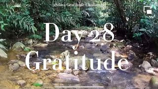 28days Gratitude Challenge Day 28  Earth Element Grounding and Cleansing [upl. by Nenney]