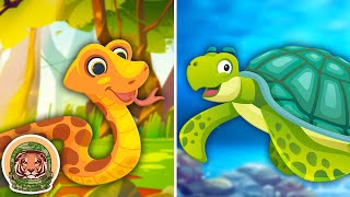 Learn About Reptiles amp Amphibians  Animal Songs For Kids  KLT WILD [upl. by Klemens]