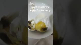 See what happened after I boiled egg [upl. by Crandell]