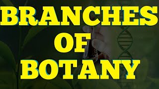 Branches of Botany With brief detail Branches of Biology  NCERT 11 Biology [upl. by Nobie]