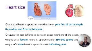 Lecture 1 Cardiac glucosides Part 1 II Hamdan Hegazi [upl. by Elyagiba]