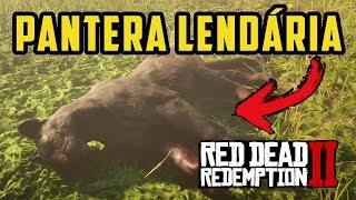 RED DEAD REDEMPTION 2  PANTERA LENDÁRIA quotGIAGUAROquot LOCALIZAÇÃO E CAÇA  RDR2 PTBR [upl. by Yate]