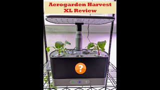 Aerogarden Harvest XL Hydroponics Review Harvest vs Harvest XL [upl. by Keriann618]