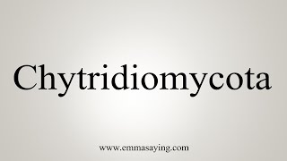 How To Say Chytridiomycota [upl. by Llenoj]