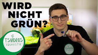 CO2 Dauertest wird nicht grün CO2 Dauertester im Aquarium richtig nutzen  TSVideosAquaristik [upl. by Einna]