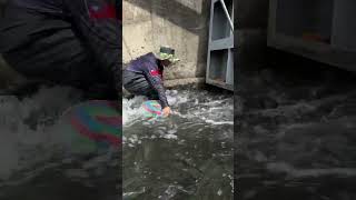 Amazing Skills  Catching fishing fish youtubeshorts [upl. by Akeber]