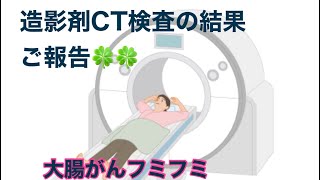 造影剤CT検査の結果のご報告 [upl. by Anelleh]