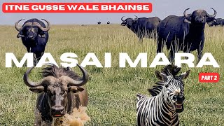 Cruising through Masai Mara countryside of Kenya  Hindi Travel Vlog Africa [upl. by Ramah239]