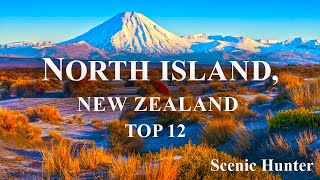 Top 12 Places To Visit In North Island New Zealand [upl. by Onoitna526]