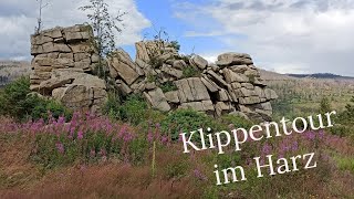 Schnarcherklippen  Mäuseklippen  Wandern im Harz  Juli 2024  WanderVLOG [upl. by Percival880]