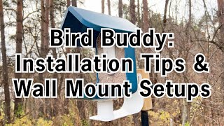 Tips for Setting Up the Bird Buddy and Mounting the Feeder Using the Wall Mount with the APS [upl. by Eeznyl]