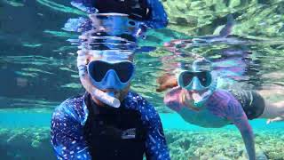 Sharm ElSheikh Reef Oasis Blue Bay Resort 2024 [upl. by Nawed]