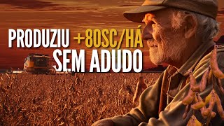 Não usou adubo na soja e produziu mais de 80 scha [upl. by Losyram]