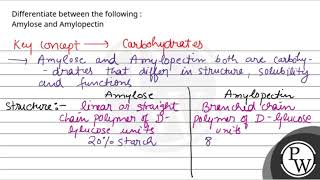 Differentiate between the following Amylose and Amylopectin [upl. by Materi]