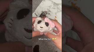 WHAT IS THIS A SAD HAMSTER😭 hamsters plush girl memes shorts couple fyp plushies [upl. by Lubet725]