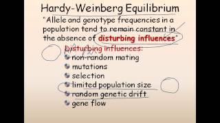 21 Population genetics Hardy Weinberg equilibrium [upl. by Barny]