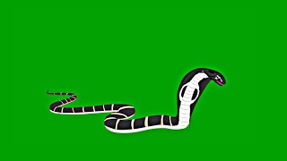 Snake Green ScreenGreen Screen SnakeNagin Green ScreenNagin Cartoon Green ScreenCartoon Snake [upl. by Outlaw]