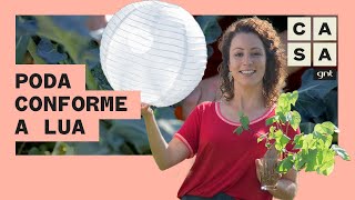 🌔 LUA e JARDINAGEM como podar suas plantas na FASE LUNAR certa  Plante Você Mesmo  Carol Costa [upl. by Derian455]