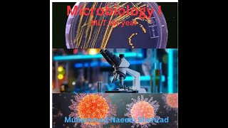 Oxidase test in Microbiology Lab Microbiology i MLT 1st year by Muhammad Naeem Shehzad [upl. by Garvy]