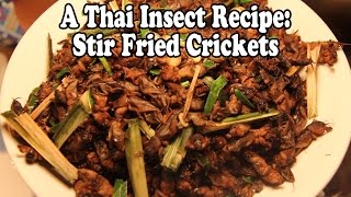 Thai Insect Recipe Dry Fried Crickets คั่วแมลงกระชอน Cooking amp Eating Bugs amp Insects in Thailand [upl. by Alphonsine]