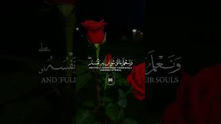 Quran Verse Part 142 surahalquran youtubeshorts themostemotionalsoftquranrecitationsurahquran [upl. by Phillie741]