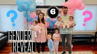 EPIC GENDER REVEAL Baby 6 [upl. by Camilla431]