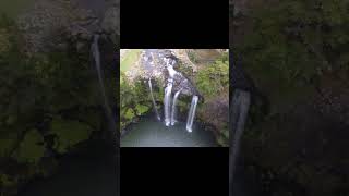 Whangarei Falls newzealand [upl. by Solenne]