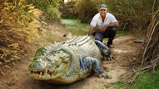 TOP 8 MAIORES CROCODILOS DO MUNDO [upl. by Anuhsal]