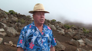 Haleakala Crater  Shore Excursion  NCL [upl. by Memberg]