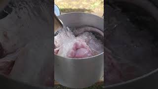 Woman is Preparing meat for jelly  Ukrainian holodets Cooking in village oven [upl. by Anawyt]