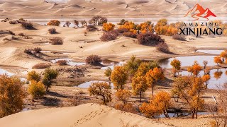 Watch Crossing Chinas largest desert  the Taklamakan Desert in AmazingXinjiang 穿越塔克拉玛干沙漠 [upl. by Ayanad354]