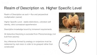 Edmund Husserls Phenomenology Lecture 36 Ideas Preliminary Considerations of Method [upl. by Lewis353]