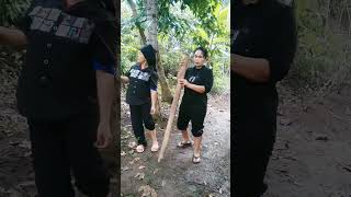 Betulin tanaman comedyngakak comedylucu comedy [upl. by Okier]