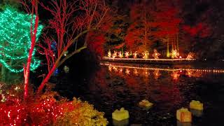 벤두센 빛 축제 VanDusen Festival of Lights 벤두센 식물원 VanDusen Botanical Garden Vancouver 캐나다 231126 [upl. by Justis]