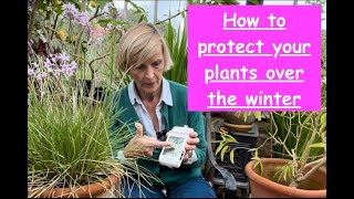 How to protect your plants over winter [upl. by Nnaihs]