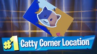 Enter Catty Corner Vault Location  Fortnite Battle Royale [upl. by Yzzik]