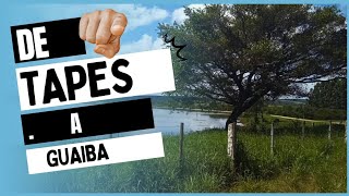 tapes a guaiba vamos nessa [upl. by Nara595]