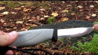 Mora Robust test Bushcraft [upl. by Dal283]