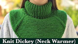 Winter Knit Dickey Neck Warmer Tutorial [upl. by Ennayhc767]