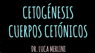 Cetogénesis Cuerpos Cetónicos [upl. by Lotsirhc]