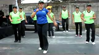 Baile aerobico para Principiantes La Vida es un Carnaval [upl. by Cooley]