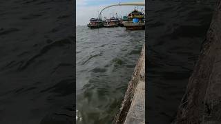 SUPER GEMOY  Mancing Ikan Kiper Di Tepi Dermaga fishing [upl. by Bat339]