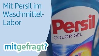 Wäsche sauber waschen Im WaschmittelLabor von Persil  dm mitgefragt Folge 25 [upl. by Hsu182]