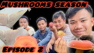 MUSHROOMS 🍄 SEASON  episode 2  cooking Maring tribe style 😋 mushrooms 🍄‍🟫 mushroom 🍄 🍛 [upl. by Cherrita761]