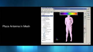 Implantable Antenna in XFdtd View Output [upl. by Dyna]