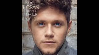 Niall Horan  Mirrors 1 HOUR [upl. by Uoliram]