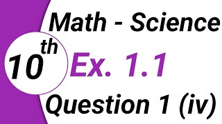 10th Math Exercise 11 Questions 1Class 10 Math How To Write Equation in Standard Formmathematics [upl. by Annahsit]